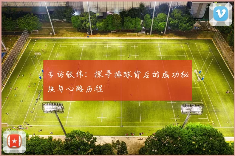 专访张伟：探寻排球背后的成功秘诀与心路历程