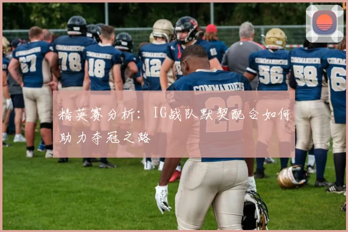 精英赛分析：IG战队默契配合如何助力夺冠之路