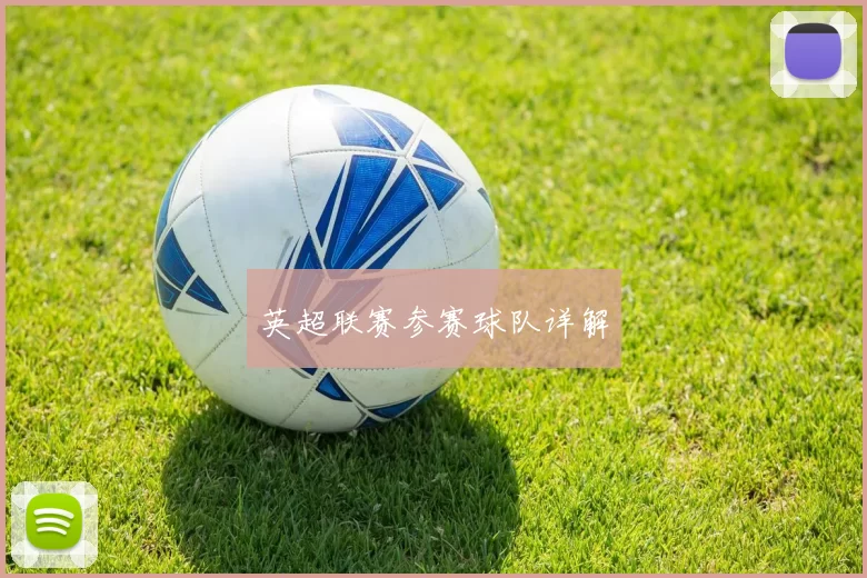 英超联赛参赛球队详解