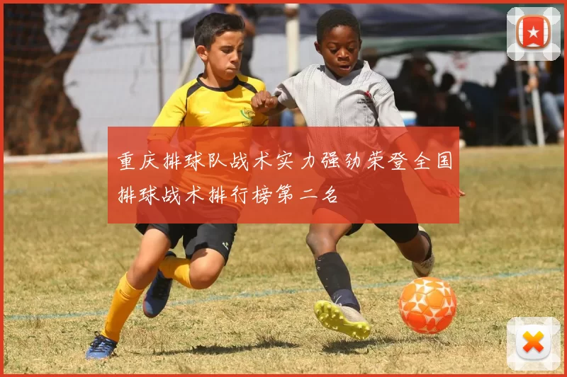 重庆排球队战术实力强劲荣登全国排球战术排行榜第二名