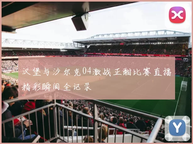 汉堡与沙尔克04激战正酣比赛直播精彩瞬间全记录