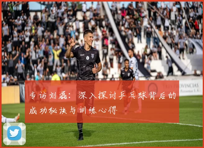 专访刘磊：深入探讨乒乓球背后的成功秘诀与训练心得