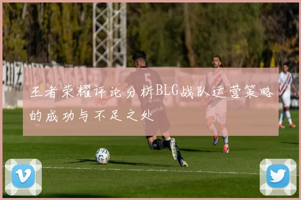 王者荣耀评论分析BLG战队运营策略的成功与不足之处